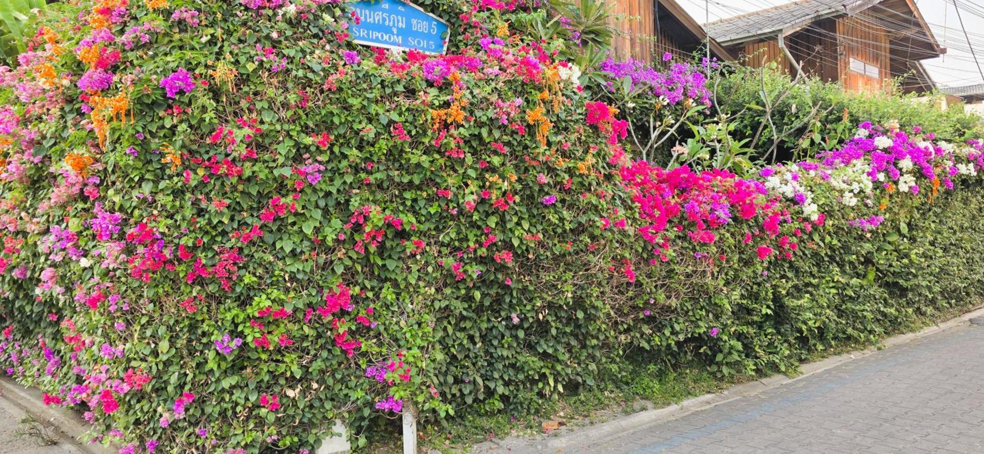 Siriwan Hostel Chiang Mai Luaran gambar